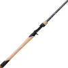 Fenwick World Class Casting Rod Swimbait