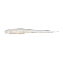 Megabass Hazedong