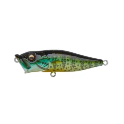 Megabass Pop-X