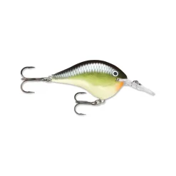 Rapala DT Series Crankbaits