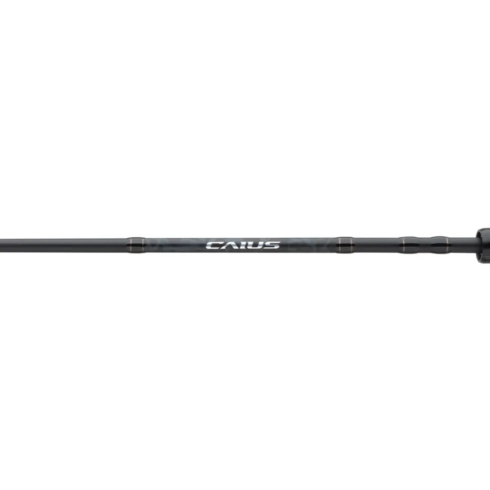 Shimano Caius Casting Combo 7'0" MH 7.2:1 RH | PCIS150HGCCAC70MHB