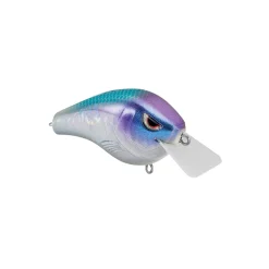 Spro Fat Papa Squarebill Crankbait