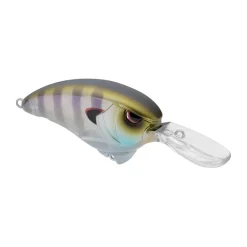 Spro Outsider Crank MR 60 Crankbait