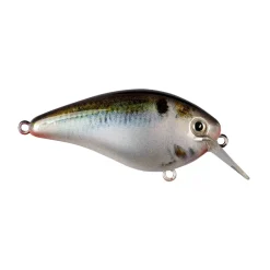 Strike King KVD 1.5 Hard Knock Squarebill Crankbait
