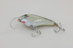 WE Baits #2 Black Back